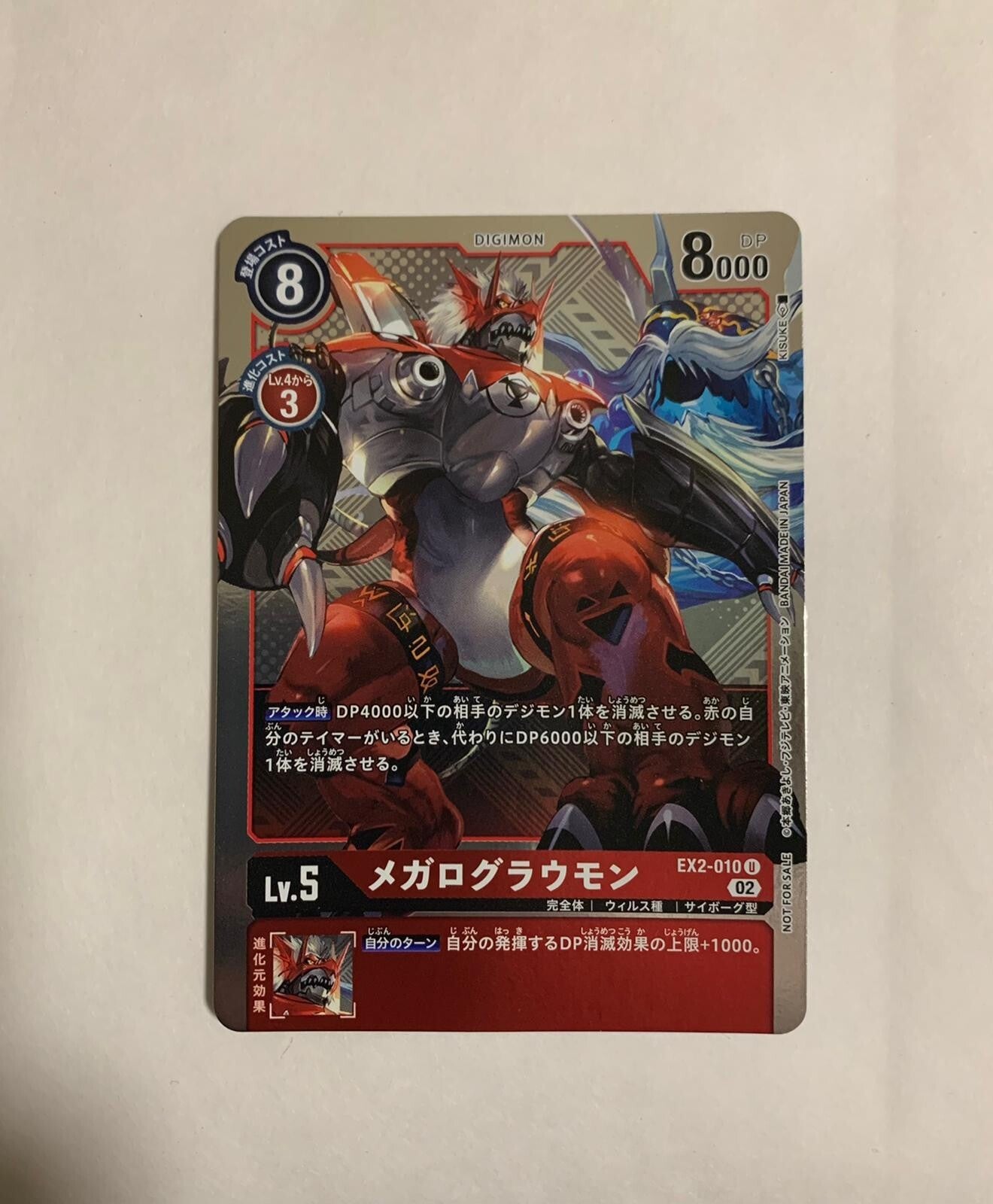 Image #1